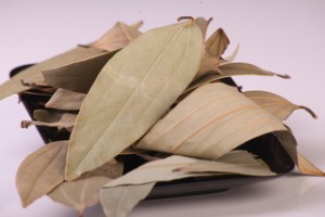 525bf9671ad7be27dc5a351c028b90de      