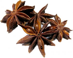 Badiya(StarAniseeds)      